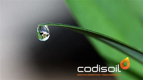 codisoil|Codisoil (@codisoil) • Instagram photos and videos